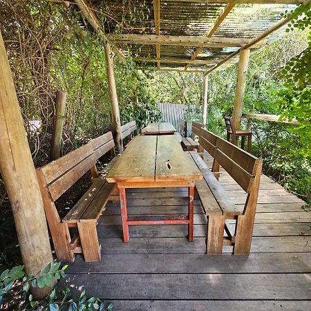 Hostel Punta Ballena Bar エクステリア 写真