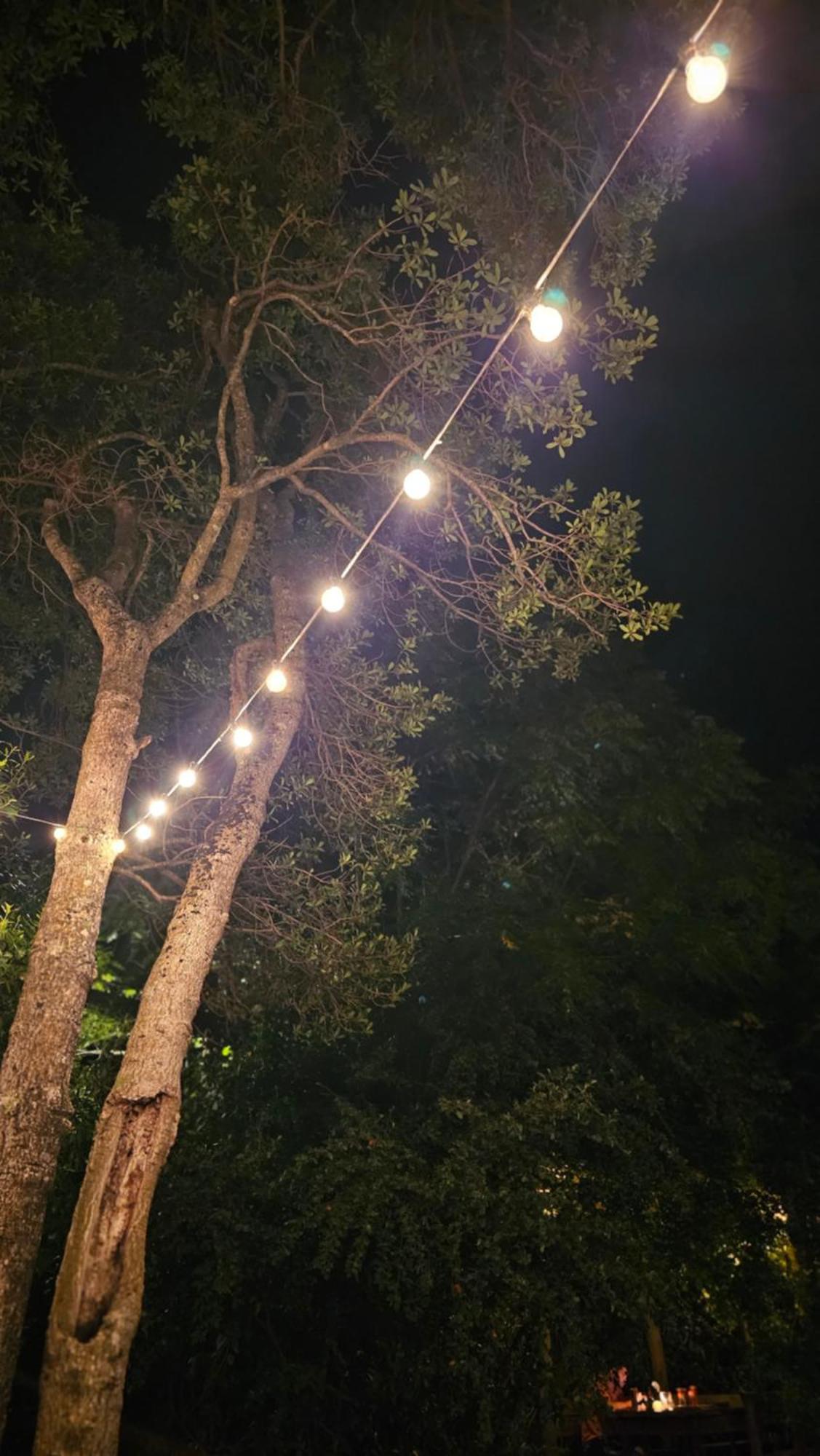 Hostel Punta Ballena Bar エクステリア 写真